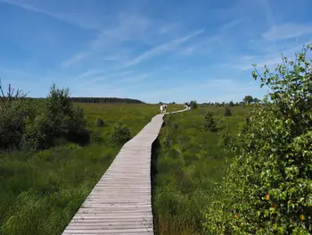 Signal de Botrange (Belgium)